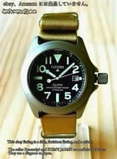 Citizen Promaster Tough Watch Titanium Case 39mm 200M Date Black Dial 2604TK