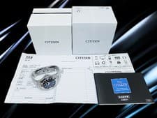 CITIZEN Watch Perpetual Calendar SS Black Dial Quartz Limited Edition of 1000