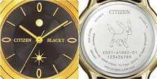 [New] CITIZEN Umbreon Model Pokemon E031-A18N204 Wristwatch Solar Unopened Japan