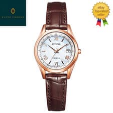 Citizen EXCEED ES9372-08W Brown Gold Direct Flight Eco-Drive Japan Watch NEW