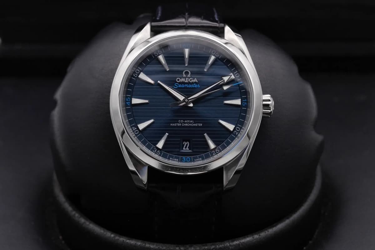 Omega Aqua Terra 220.13.41.21.03.001