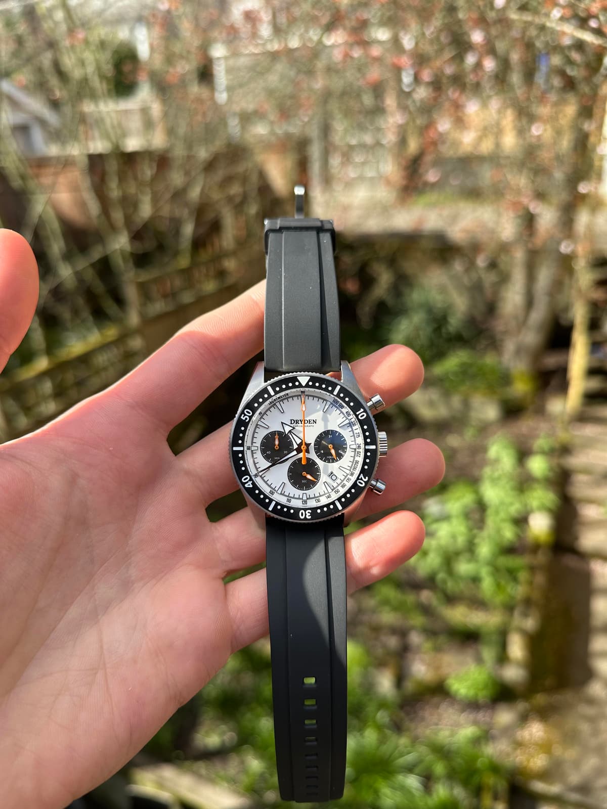 [WTS] Dryden Panda Chrono Diver | $110
