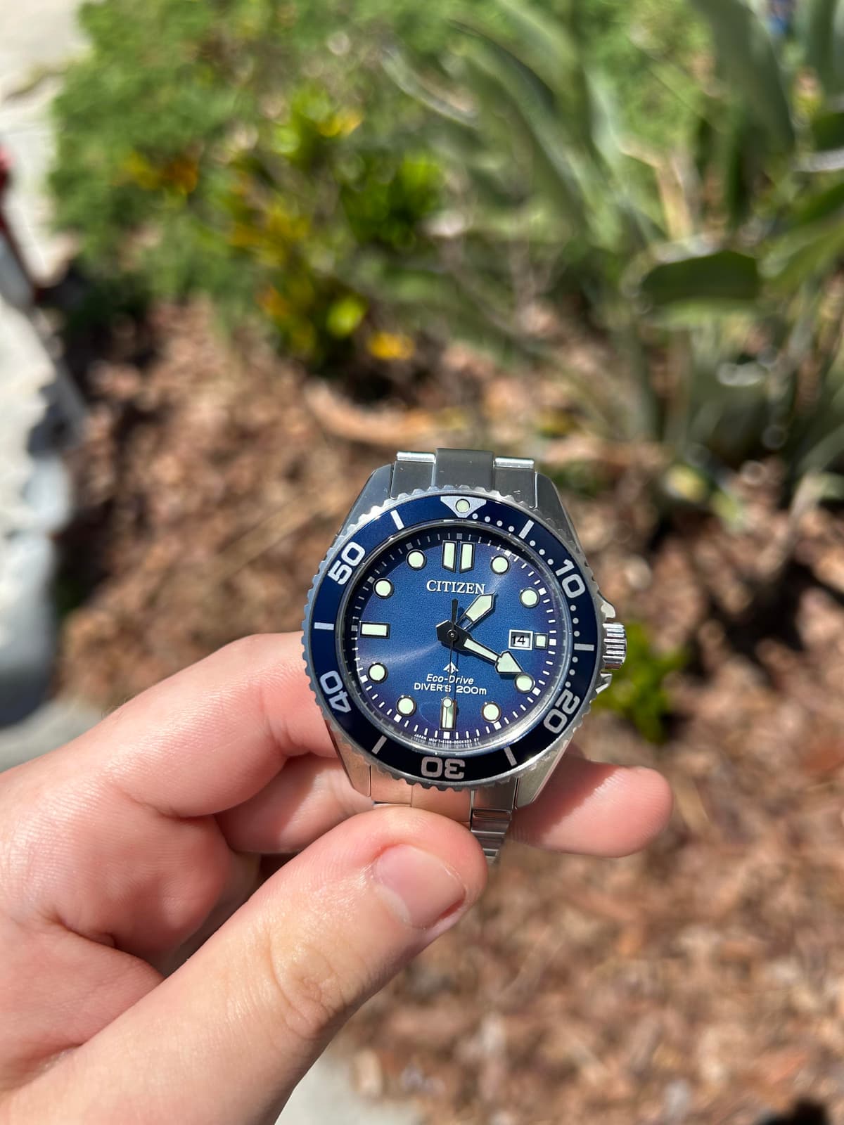 [WTS] Citizen Promaster dive 41mm- $260 shipped!