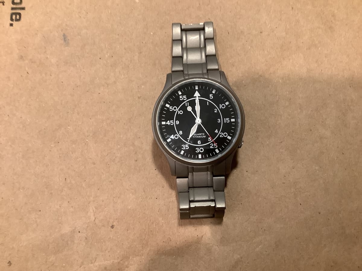 FS: Berny Titanium Quartz Field watch