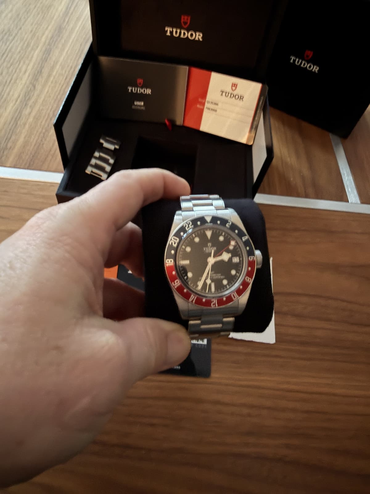 FS: Tudor Pepsi GMT