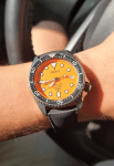 Seiko Orange Dial Perpetual Quartz Diver - SCBM029