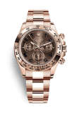 Rolex Cosmograph Daytona Everose / Chocolate