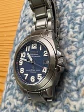 CITIZEN Promaster Eco-Drive Perpetual Calendar Watch Stainless Steel