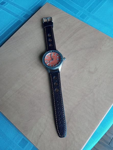 FS: EISENHARDT Caribbean Diver in Steel on Strap