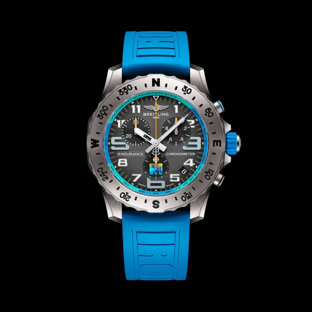 Professional Endurance Pro IRONMAN® World Championship 2025