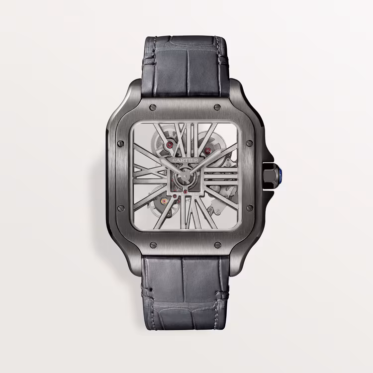 Santos de Cartier skeleton