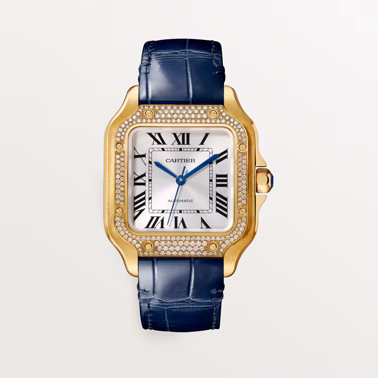 Cartier Cartier Santos de Cartier